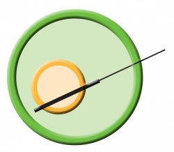 Logo for Andy Rounthwaite Logo for Andy Rounthwaite