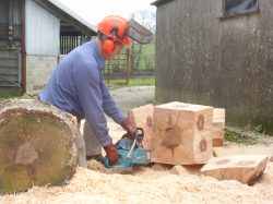 Logo for David Trewin Logo for David Trewin