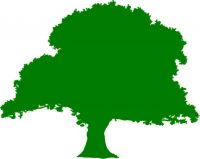 Logo for George Shapland Logo for George Shapland