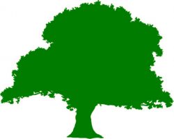 Logo for George Shapland Logo for George Shapland