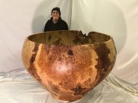 Logo for John Shorrock Logo for John Shorrock