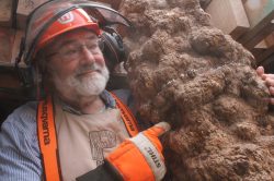 Logo for Les Symonds Logo for Les Symonds