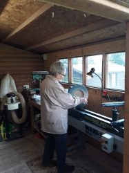 Logo for Sandra Adams Logo for Sandra Adams