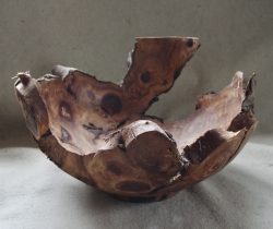 Logo for Tom Pockley Logo for Tom Pockley