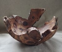 Logo for Tom Pockley Logo for Tom Pockley